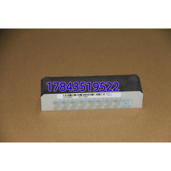 Emerson 1C31238H01 | 16点 110-125V 现场开关量输入 配终端块