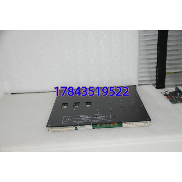 TRICONEX 3604E | TMR数字量输出模块 - 图片 4