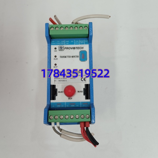 ProvibTech TM521-A02-B00-C02-D00-E01-G00-10-M1 | 双通道振动监测保护模块 - 图片 3