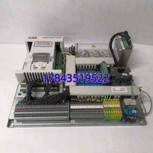 ABB UNITROL 1020 3BHE030579R0001 UNS0119A-Z | 励磁控制微处理器单元