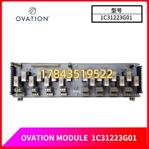 merson Ovation 1C31223G01 | 32通道 24VDC 标准数字量输入模块(DI)