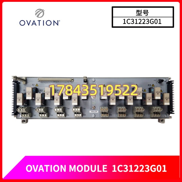 merson Ovation 1C31223G01 | 32通道 24VDC 标准数字量输入模块(DI)