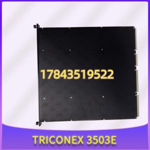 Triconex 3503E Digital Input Module 32-Point TMR | 流通 测试好件