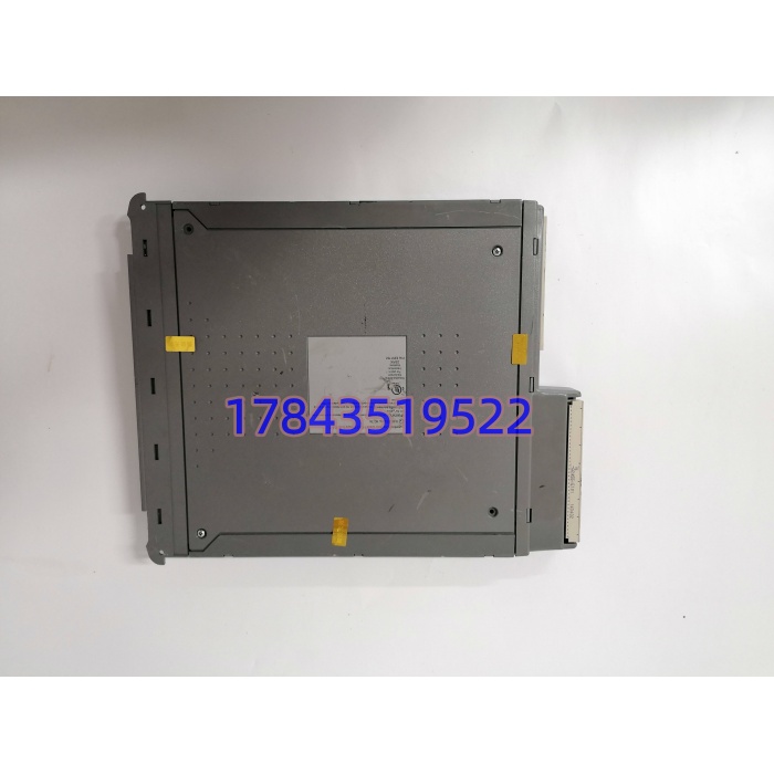 ICS TRIPLEX T8461 | Trusted TMR数字输出模块 - 图片 3