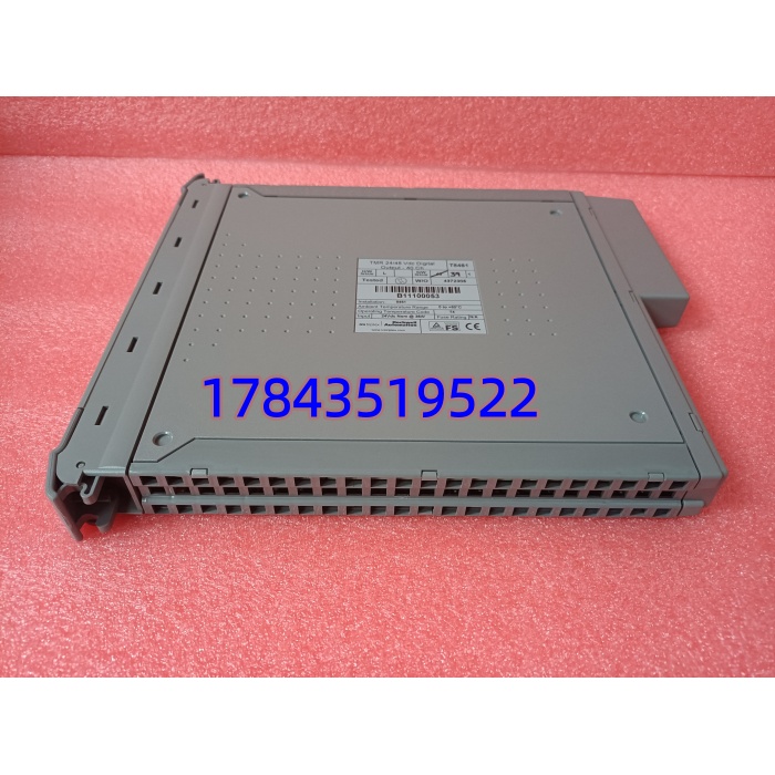 ICS TRIPLEX T8461 | Trusted® TMR 系统 24VDC 40通道 数字量输入模块 - 图片 3