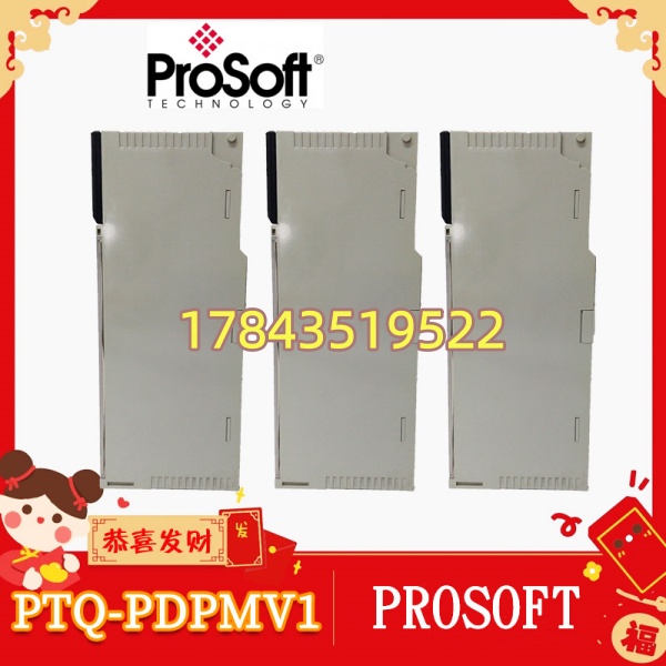 ProSoft PTQ-PDPMV1 | Schneider Quantum 机架式 PROFIBUS DP V1 主站通信模块 - 图片 4