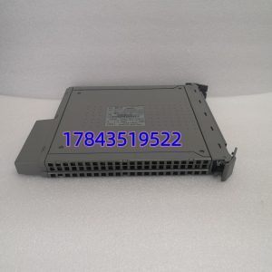 ICS TRIPLEX T8461 | AAdvance 24V DC 32点数字量输入模块