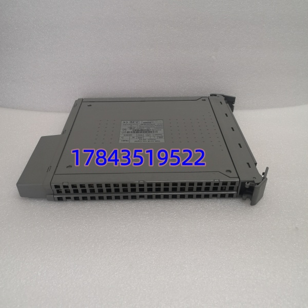 ICS TRIPLEX T8461 | AAdvance 24V DC 32点数字量输入模块