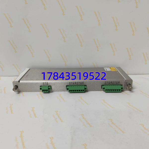 Bently Nevada 125680-01 | 3500/40M Proximitor I/O模块(带内部端子) - 图片 3