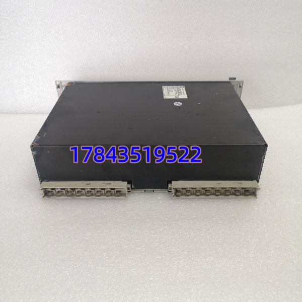 Vibro-meter VM600 RPS6U 200-582-200-011 | 24V DC输入机架电源模块 - 图片 4