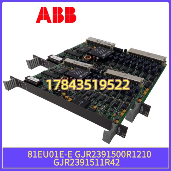 ABB 81EU01E-E GJR2391500R1210 | 16路 AI/DI 可软件组态 - 图片 3