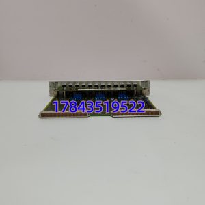 SIEMENS 6DD2920-0AM0 | SIMATIC TDC PM16 应用存储扩展板