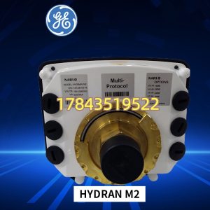 GE Hydran M2 | 催化传感器 0–2000ppm H₂ 带 4–20mA/报警