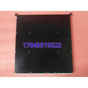 TRICONEX 35650173-0001 3721C | 兼容Tricon CX机架主/扩展—热插拔—需配对应端子块
