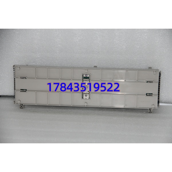 Emerson Ovation 1C31223G01 | 模拟量输出模块 AO 8ch 4-20mA - 图片 3
