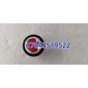 ABB 3BHB012864R0002 CDP-312 | ACS800 / ACS880 Drive 通讯接口