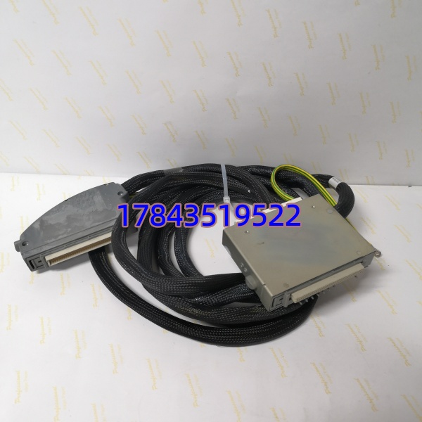 ICS Triplex TC-501-02-4M5 | SIL 3 三重冗余安全系统模块