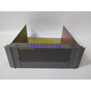 ICS TRIPLEX T8193 | 屏蔽保护模块