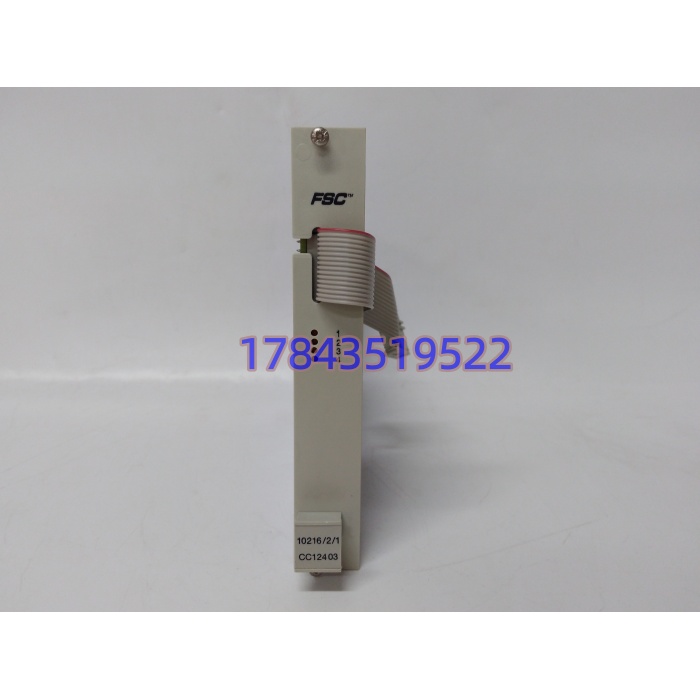 Emerson CC12403 1021621 | DeltaV远程I/O接口模块现货 - 图片 2