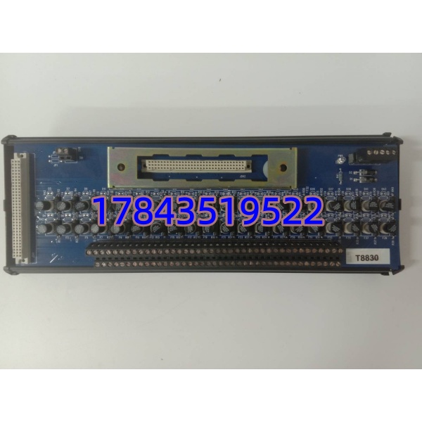 ICS Triplex T8830 | Trusted 40通道模拟量输入FTA模块 现货 全新原装 - 图片 3
