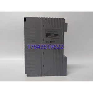 YOKOGAWA CP451-10 | CENTUM VP 控制站CPU模块