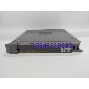 ICS Triplex T8311 | 原位兼容 T8311C/T8310 同架构主控-扩展机架桥
