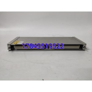 Bently Nevada 146031-01 | 3500系统 TDI I/O模块 原装正品 快速发货