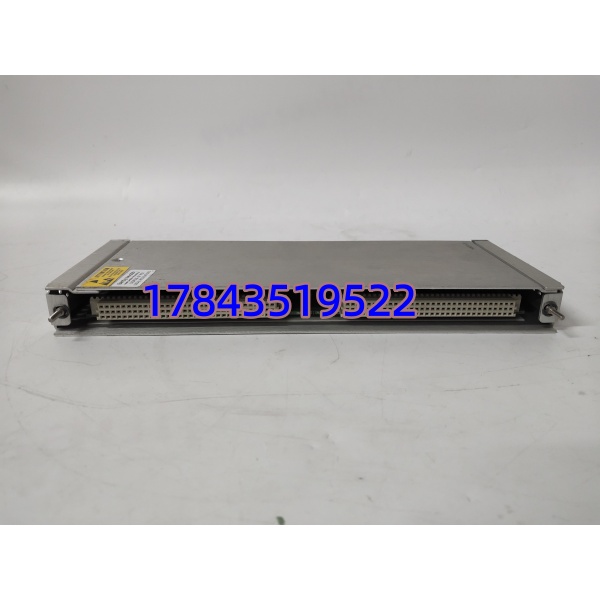 Bently Nevada 146031-01 | 3500系统 TDI I/O模块 原装正品 快速发货