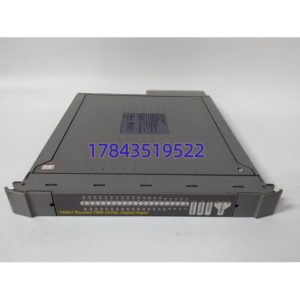 ICS Triplex T8403 | 40路24V DC数字量输入