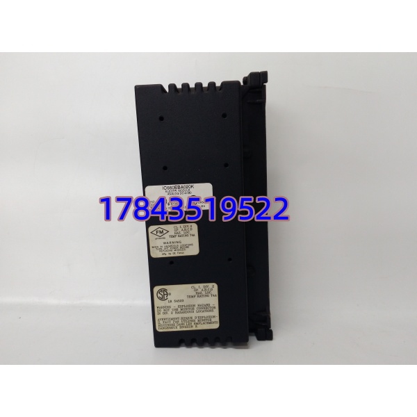 GE IC660BBA020 现货 | 24/48VDC 模拟量模块 快速发货 - 图片 4