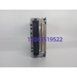 Emerson Westinghouse 5X00119G01 | RTD输入模块