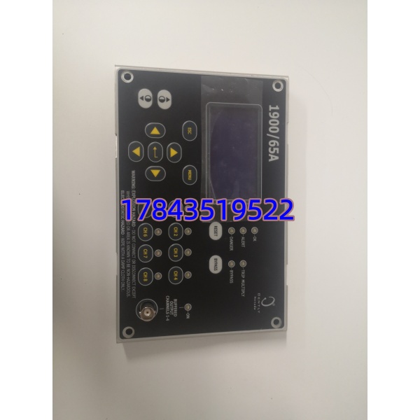 Bently Nevada 167699-02 1900/65A | 通用机械振动监测器 4动态+4温度 6继电器 Modbus 现货