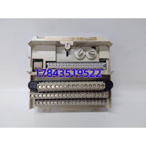 ABB 3BSE013234R1 TU830V1 | 停产替代方案 极速发货 - 图片 3