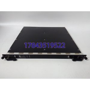 TRICONEX PM01 PM01-A-V001 | Tricon冗余电源