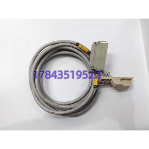 Yokogawa 16137-119 | I/O模块信号连接电缆