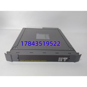 ICS TRIPLEX T8311 | 可信TMR扩展器接口 现货直发
