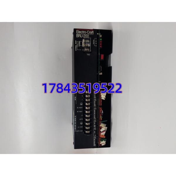 Electro-Craft DM-20 BRU-200 伺服驱动器 | 20A 单相 现货 原装正品 - 图片 3