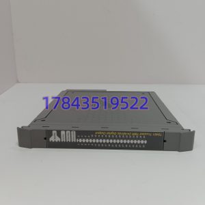 ICS Triplex T8461C | Trusted TMR 40通道DI模块