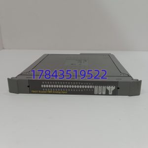 ICS Triplex T8431 | 三重化冗余模拟量输入模块