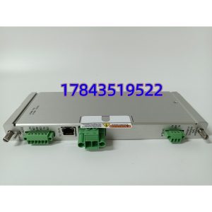 Bently Nevada 146031-01 | 3500/22M TDI 以太网子卡 RJ45