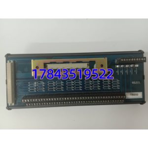ICS TRIPLEX T8850 | Trusted TMR 40通道输出现场终端组件 全新原装现货
