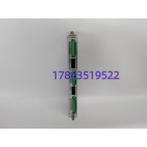 Bently Nevada 128229-01 | Proximitor/Seismic I/O模块