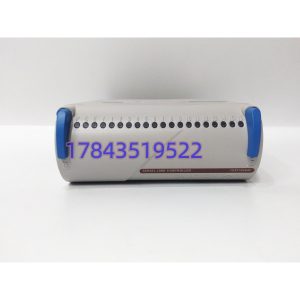 Westinghouse 1C31166G02 | WDPF系统继电器输出模块