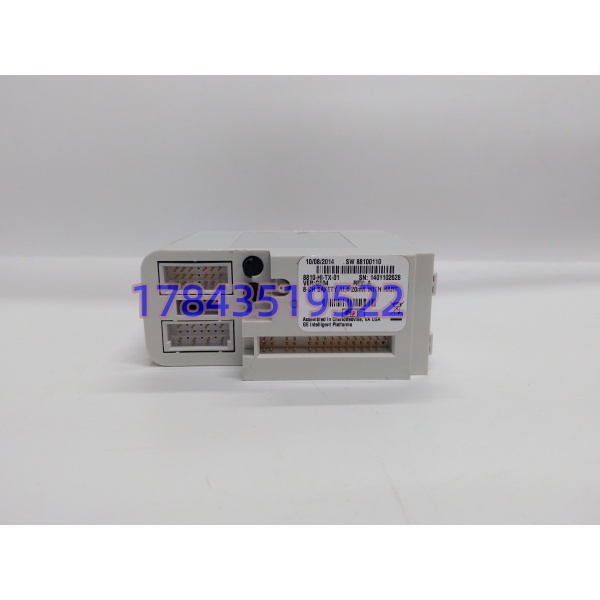 GE 8810-HI-TX-01 | Triconex系统高速以太网接口模块 - 图片 4