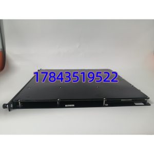 TRICONEX 3009 全新原装 | Tricon 系统 CPU 模块 · 一年质保