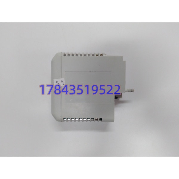 GE 8810-HI-TX-01 | Triconex系统高速以太网接口模块 - 图片 3