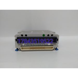 Emerson 5X00119G01 | 模拟量输入模块
