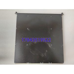 Triconex 3625A | 32路DO输出卡