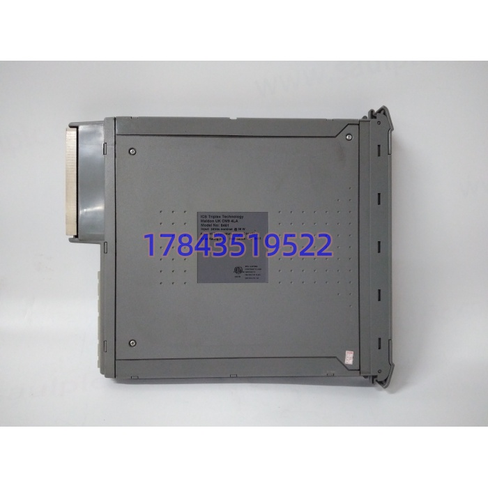 ICS Triplex T8461 | ESD阀门驱动 - 图片 3