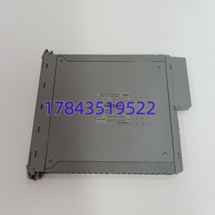 ICS Triplex T8403C + T8800 FTA | ESD前端 - 图片 3